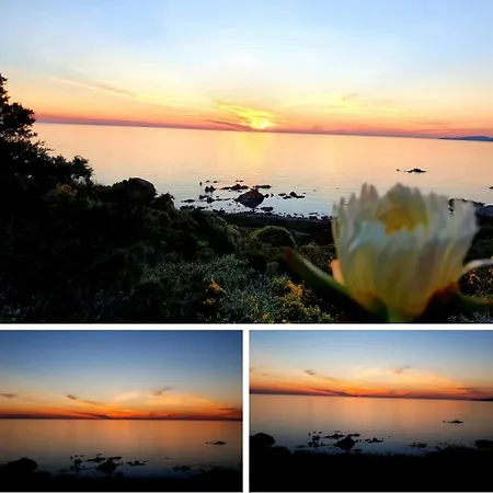 T2 Lumineux Avec Terrasse アパート プロプリアノ