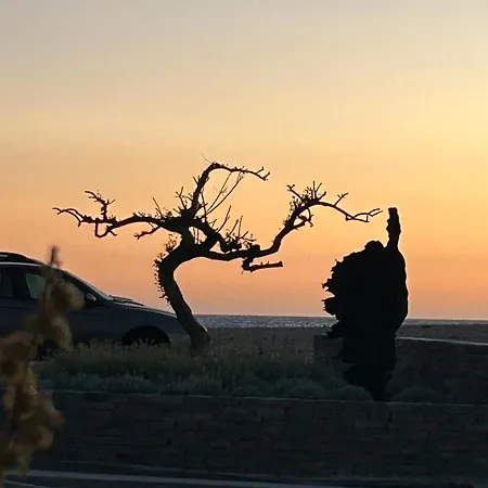 T2 Lumineux Avec Terrasse Propriano (Corsica)