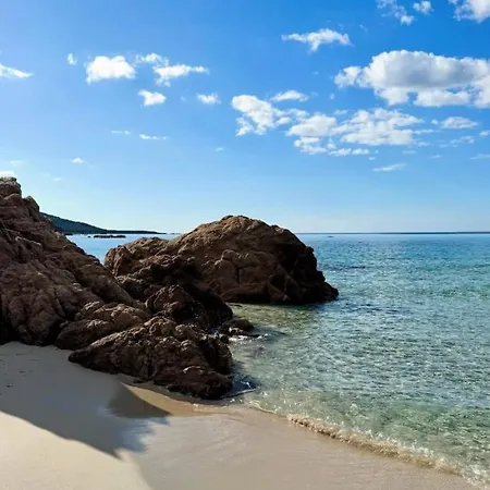 Apartment T2 Lumineux Avec Terrasse *