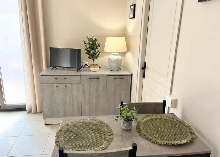 T2 Lumineux Avec Terrasse