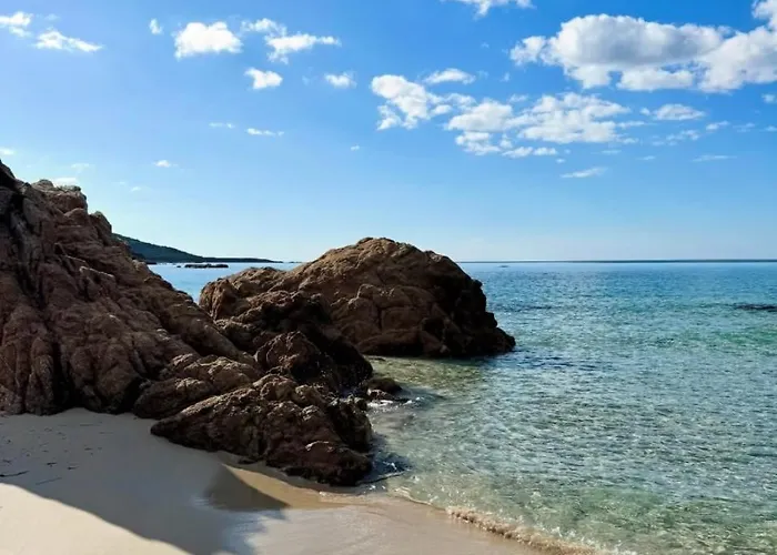 Apartment T2 Lumineux Avec Terrasse *